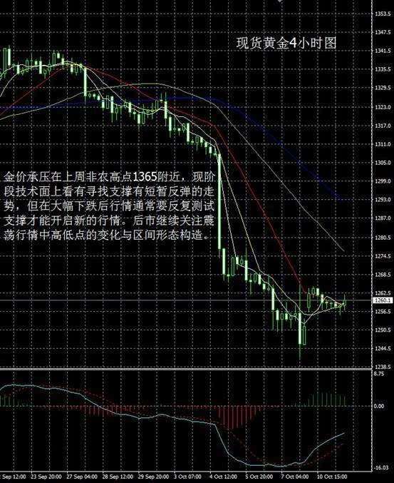 大田环球贵金属官网(大田环球贵金属app下载)