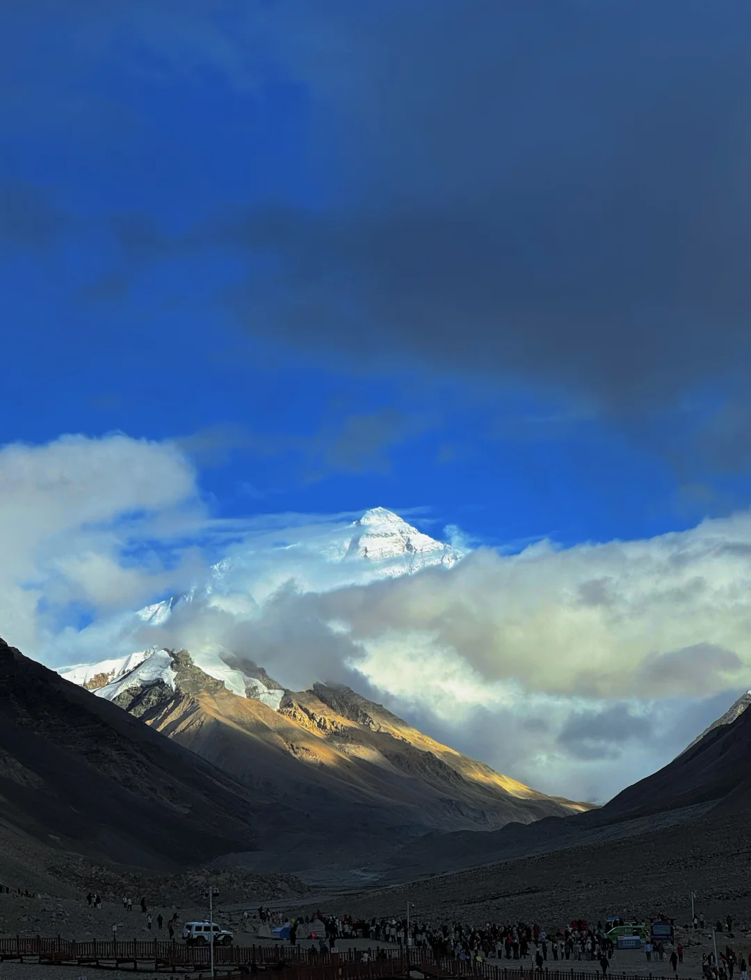 西藏(西藏药业) 西藏(西藏药业)