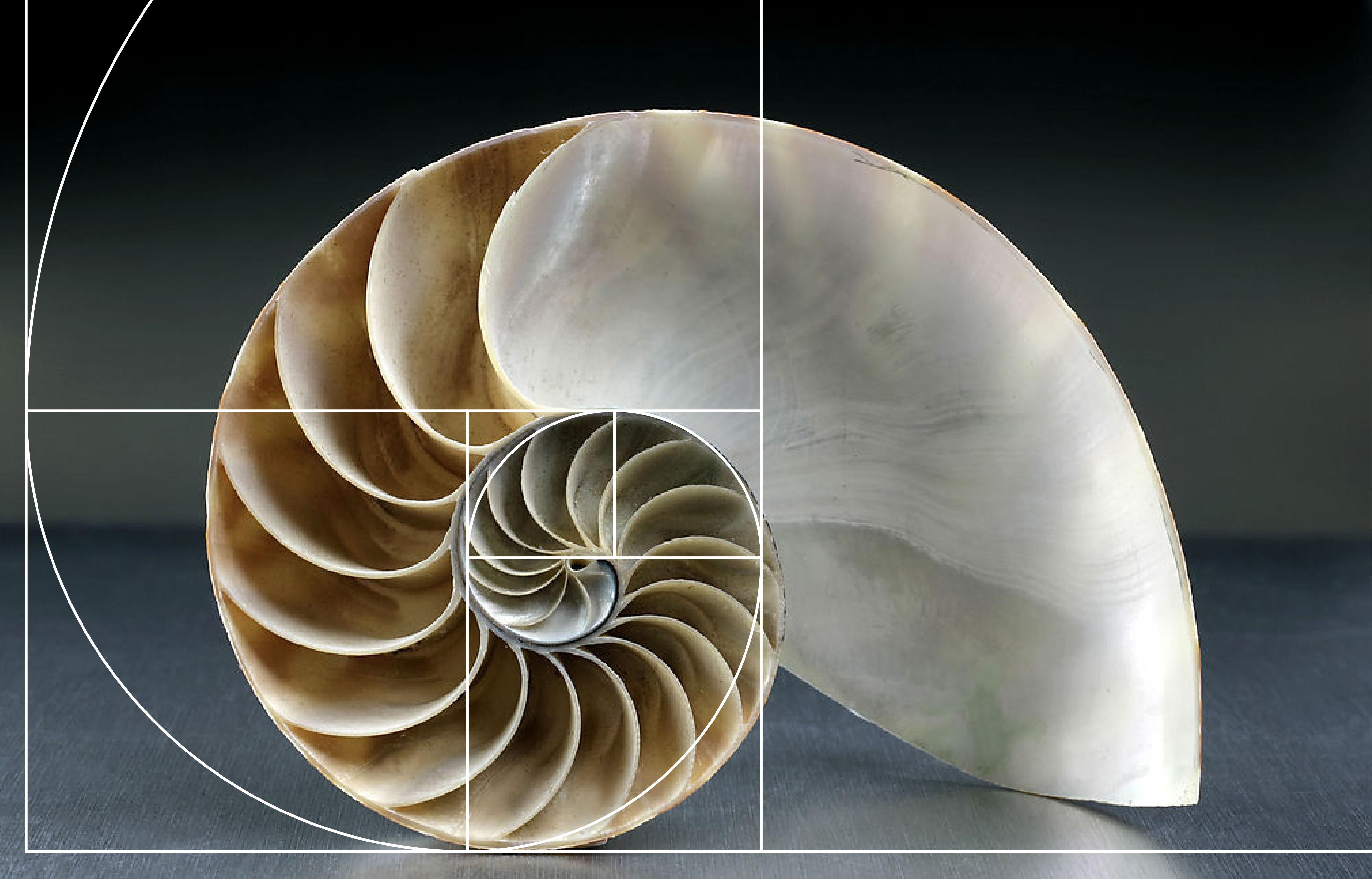 贵金属分割(贵金属分为哪几类)