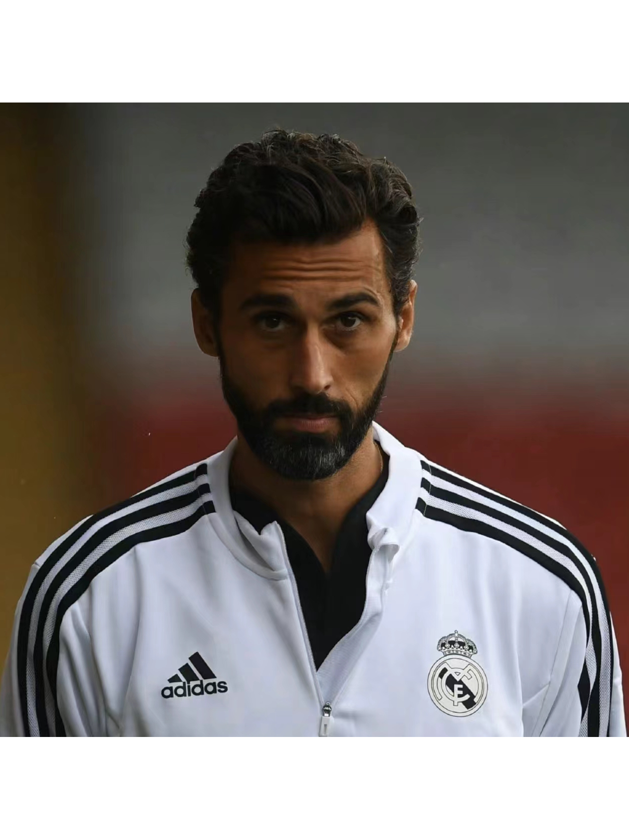 algo(algo什么意思)