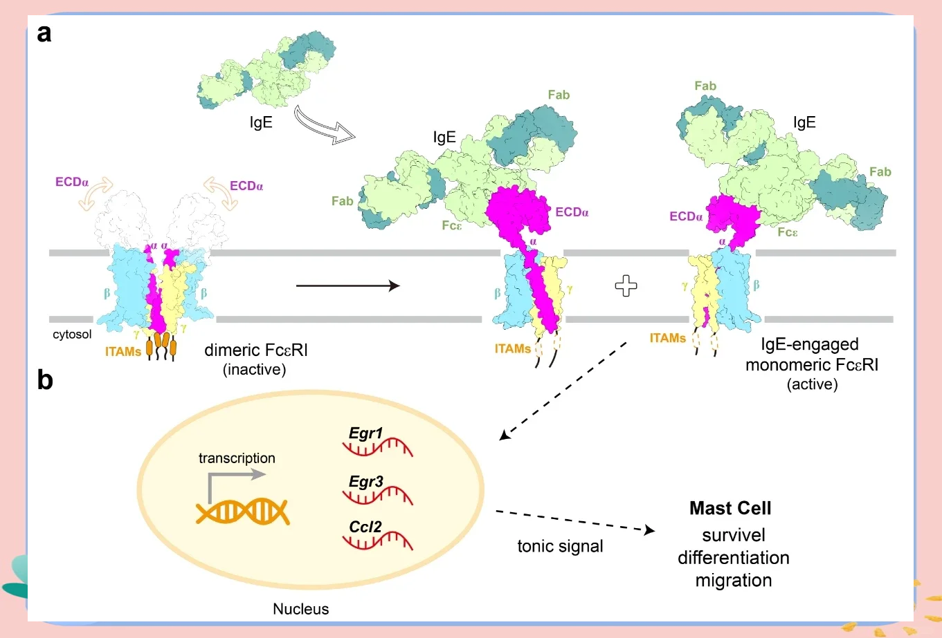 hbar(湖北艾瑞斯商贸有限公司)