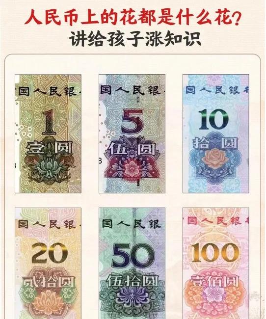 看懂货币(kan货币)