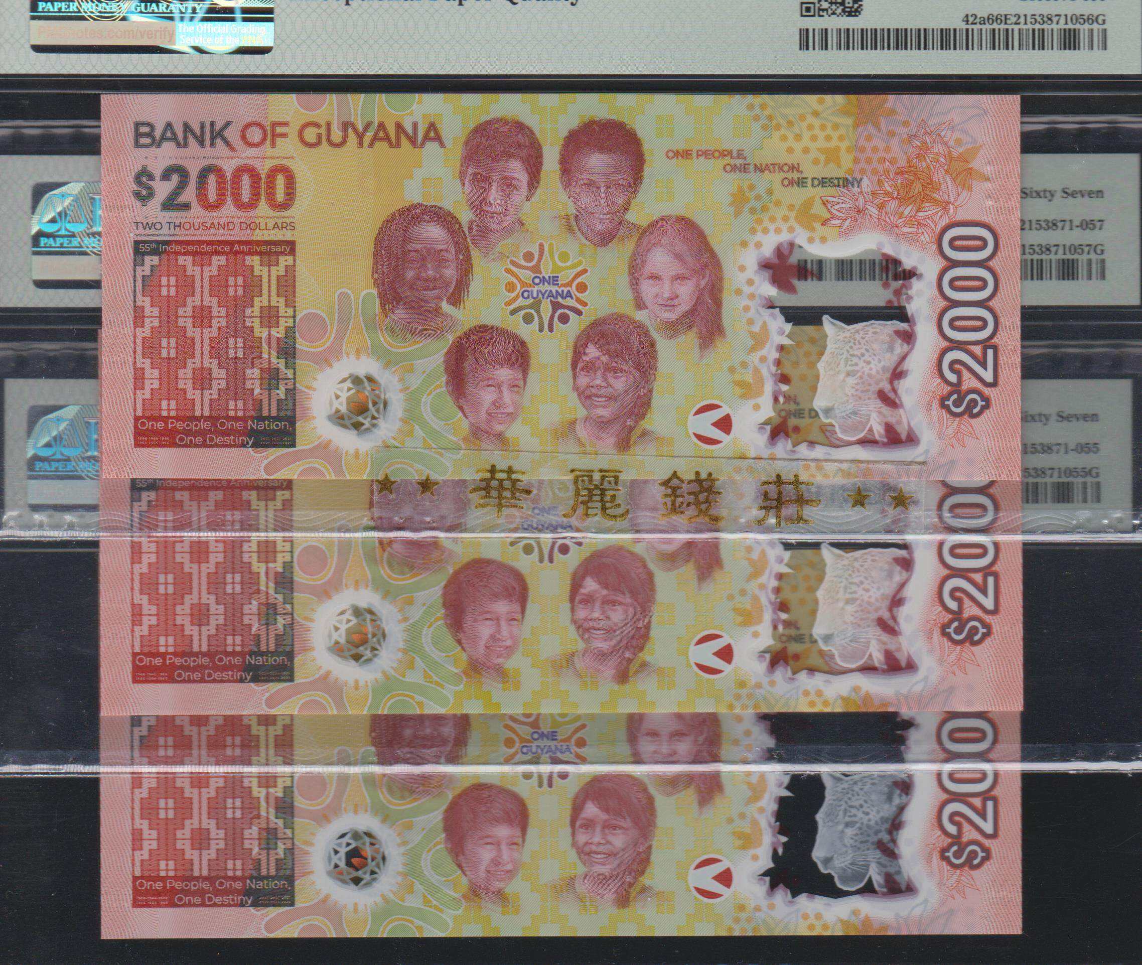 塑料货币(塑料货币图片)